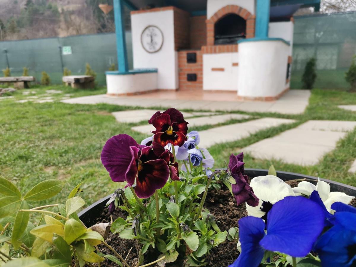 Chalet Bora 비셰우 데 조스 외부 사진