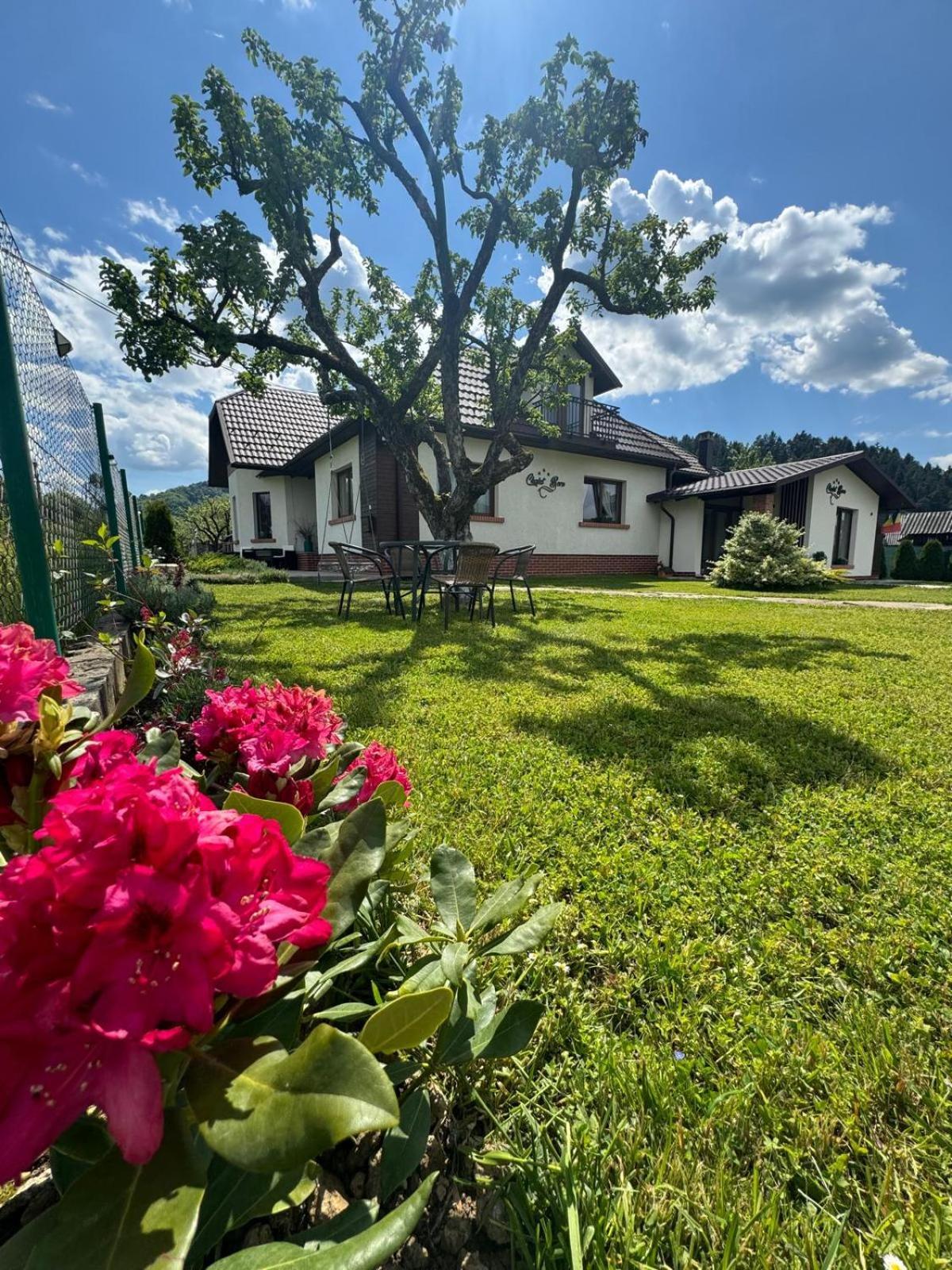 Chalet Bora 비셰우 데 조스 외부 사진